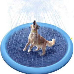 Hondenzwembad met sproeier