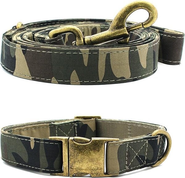 Beste Puppy Halsband van 2023 [Koopgids] Pup Opvoeden