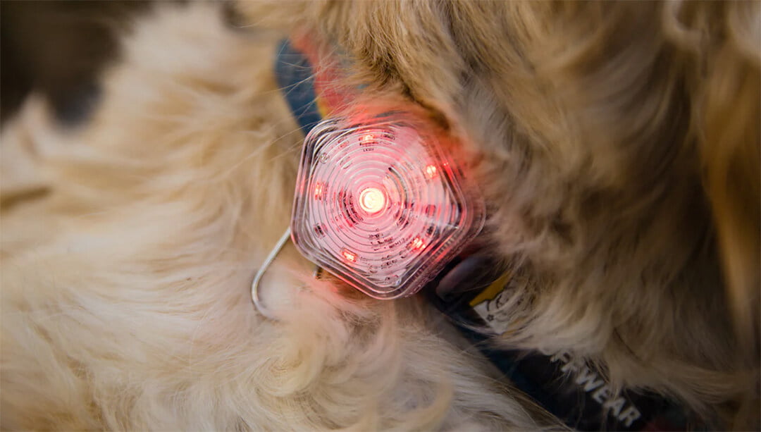 Ruffwear The Beacon™ Dog Safety Light