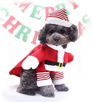 Idepet kerstman kostuum voor honden