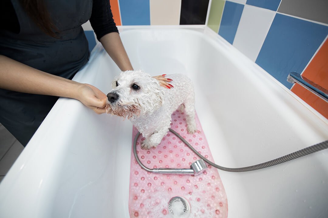 Puppy wassen benodigdheden
